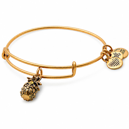 Alex and ani ALEX AND ANI A17EB26RG - Bracelet Dam (20CM)
