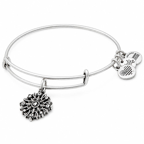 Alex and ani ALEX AND ANI A17EBCOMPRS - Bracelet Dam (20CM)