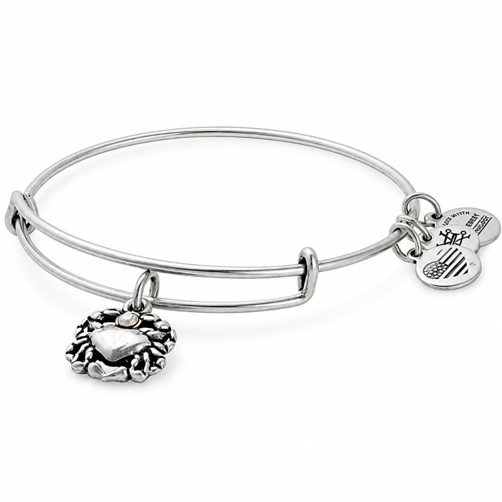 Produktbild för ALEX AND ANI A17EBCRRS - Bracelet Dam (20CM)