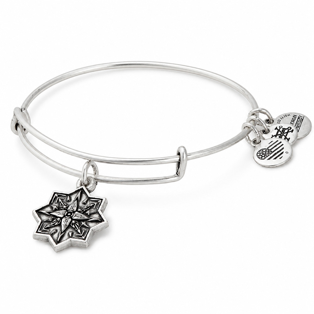 Produktbild för ALEX AND ANI A17EBHLRS - Bracelet Dam (20CM)