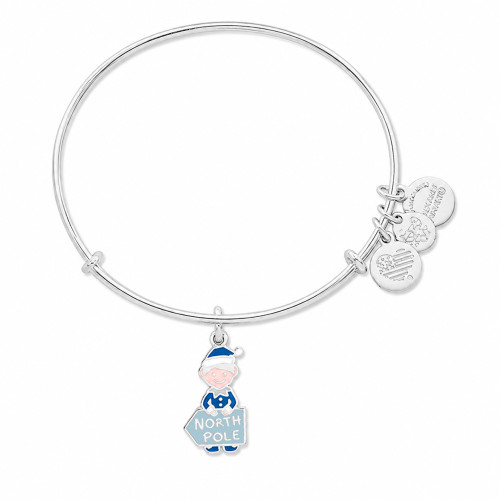 Alex and ani ALEX AND ANI A17EBHOL02SS - Bracelet Dam (20CM)