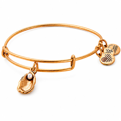 Alex and ani ALEX AND ANI A17EBOYSRG - Bracelet Dam (20CM)