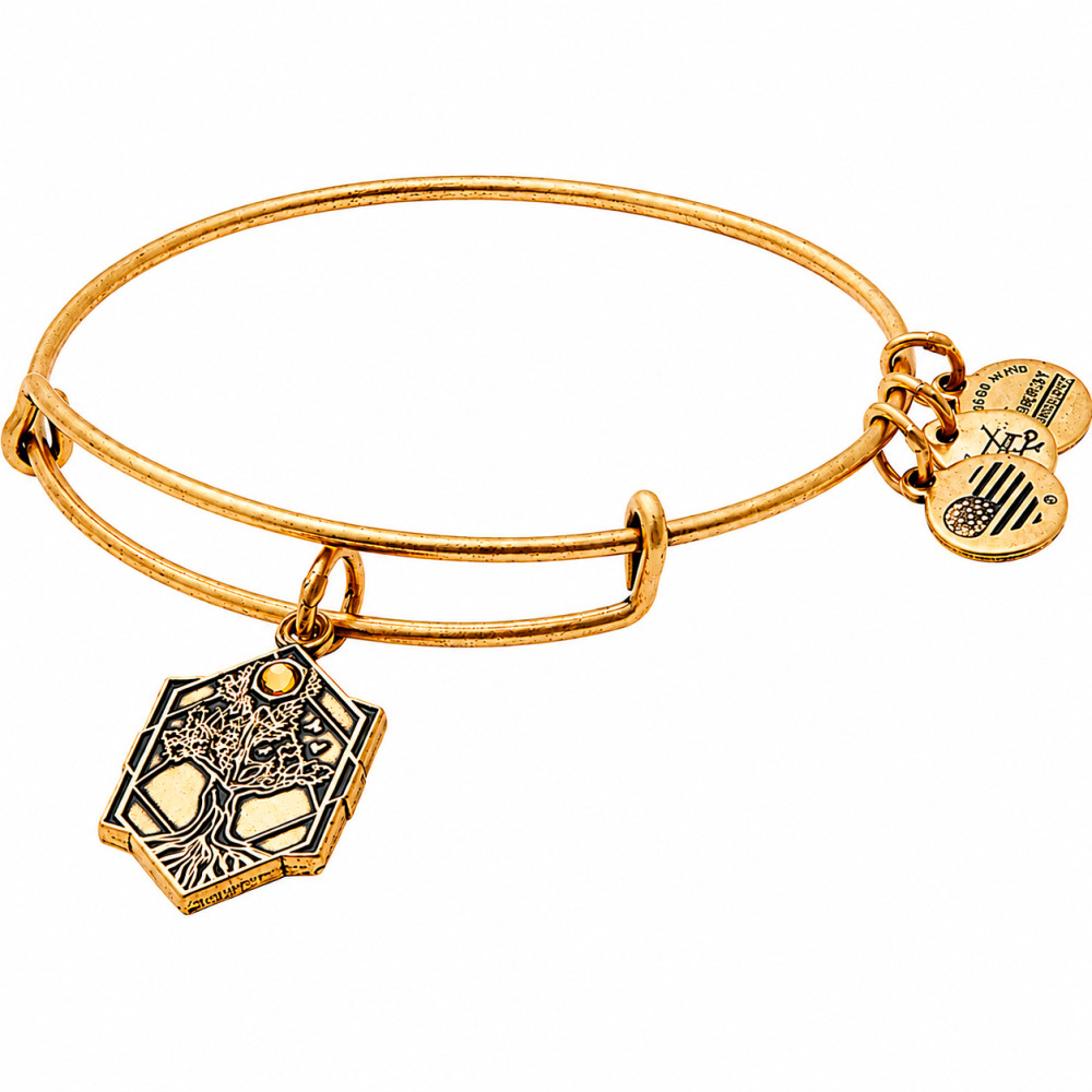 Produktbild för ALEX AND ANI A17EBTOLRG - Bracelet Dam (20CM)