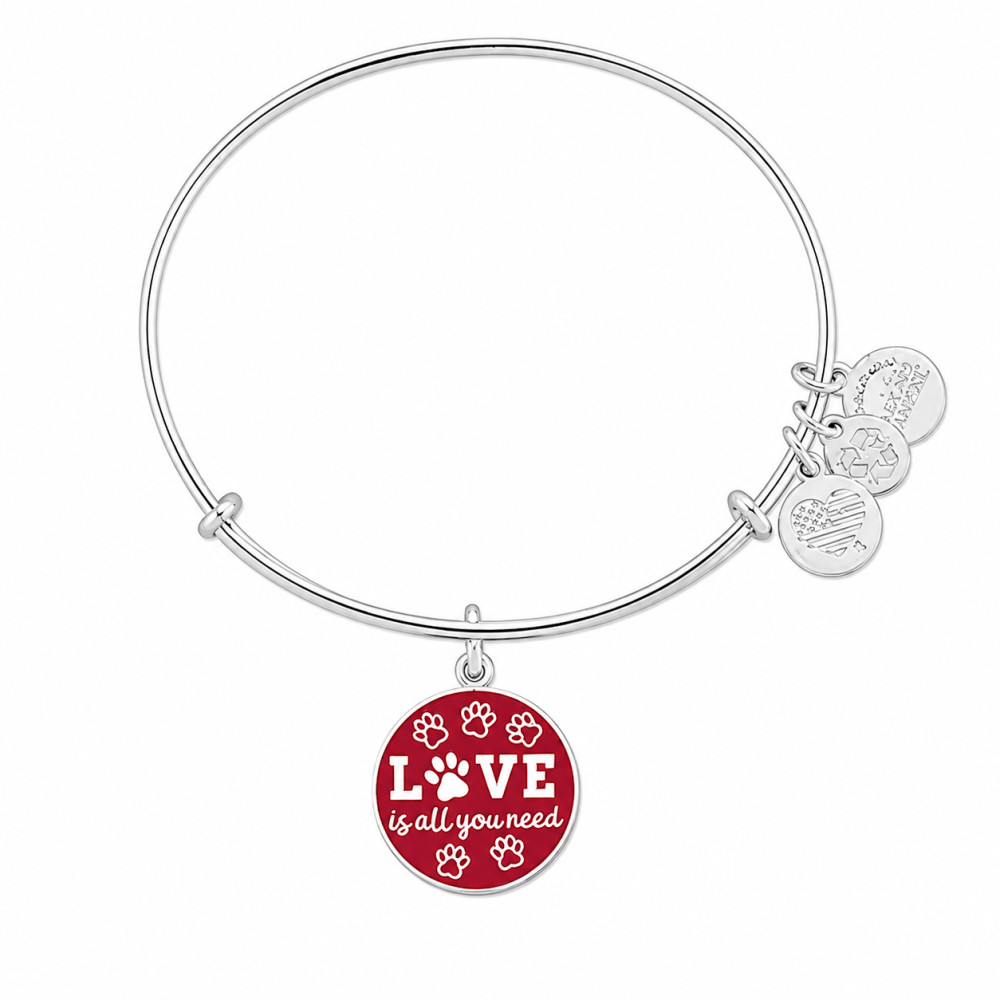 Produktbild för ALEX AND ANI A17EBWAP07SS - Bracelet Dam (20CM)
