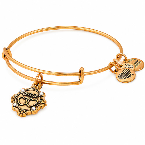 Alex and ani ALEX AND ANI A18BILY10RG - Bracelet Dam (20CM)