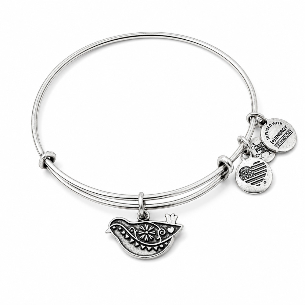 Produktbild för ALEX AND ANI A18EBDOVRS - Bracelet Dam (20CM)