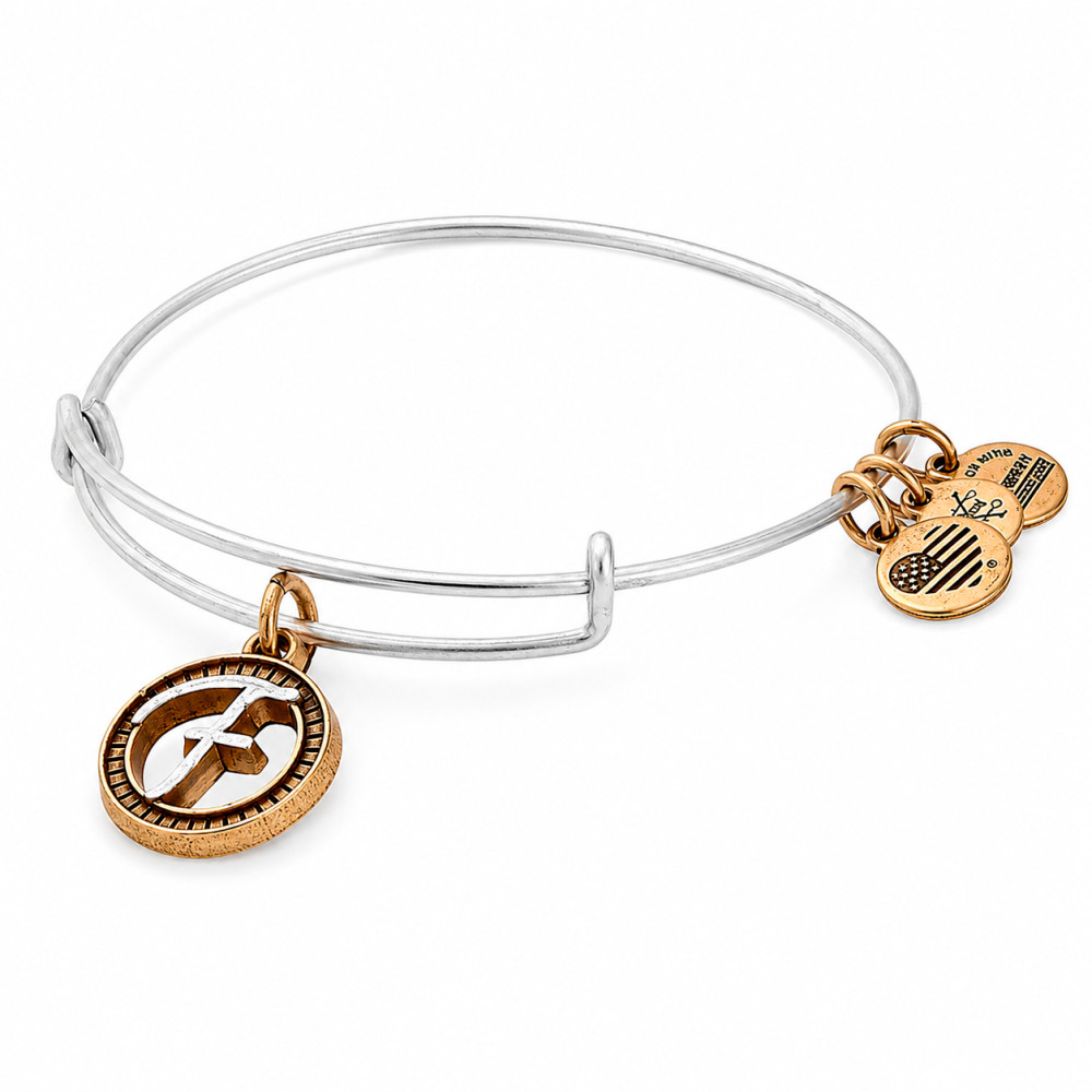 Produktbild för ALEX AND ANI A18EBINT06TTR - Bracelet Dam (20CM)