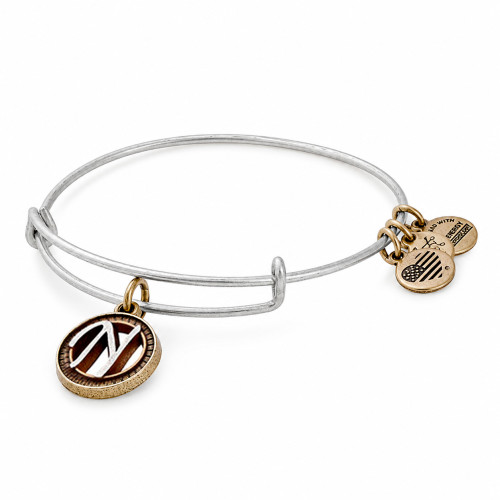 Alex and ani ALEX AND ANI A18EBINT14TTR - Bracelet Dam (20CM)