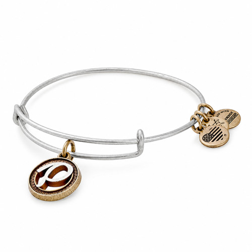 Alex and ani ALEX AND ANI A18EBINT16TTR - Bracelet Dam (20CM)