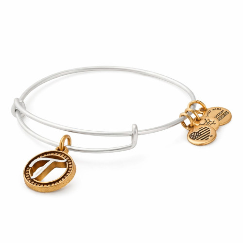 Alex and ani ALEX AND ANI A18EBINT20TTR - Bracelet Dam (25CM)