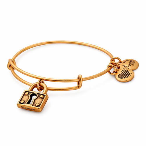 Alex and ani ALEX AND ANI A18EBULRG - Bracelet Dam (25CM)
