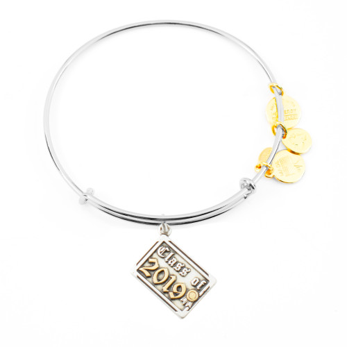 Alex and ani ALEX AND ANI A19EB04TTRS - Bracelet Dam (19CM)