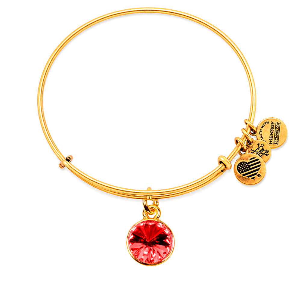 Produktbild för ALEX AND ANI A19EB40SG - Bracelet Dam (19CM)