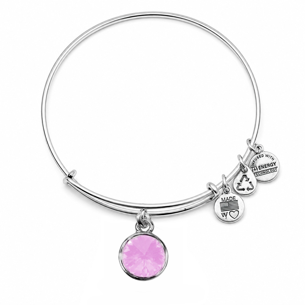 Produktbild för ALEX AND ANI A19EB45SS - Bracelet Dam (19CM)