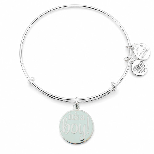 Alex and ani ALEX AND ANI A19EBIABSS - Bracelet Dam (19CM)