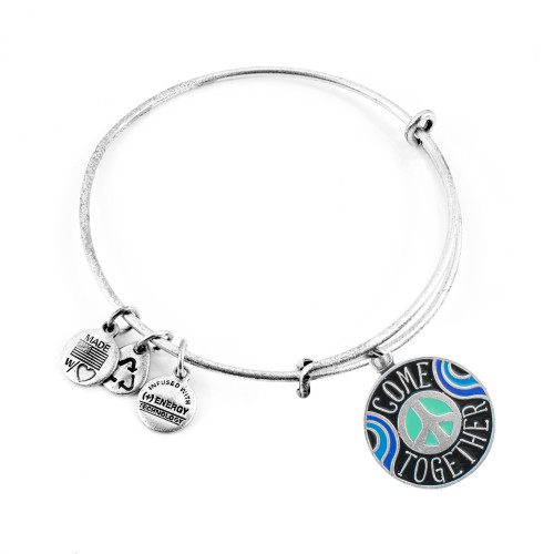 Alex and ani ALEX AND ANI AS19EP02RS - Bracelet Dam (20CM)