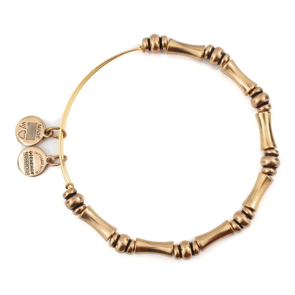 Produktbild för ALEX AND ANI BBEB110RG - Bracelet Dam (20CM)