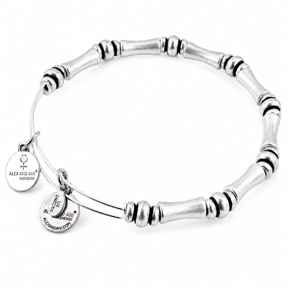 Produktbild för ALEX AND ANI BBEB110RS - Bracelet Dam (20CM)