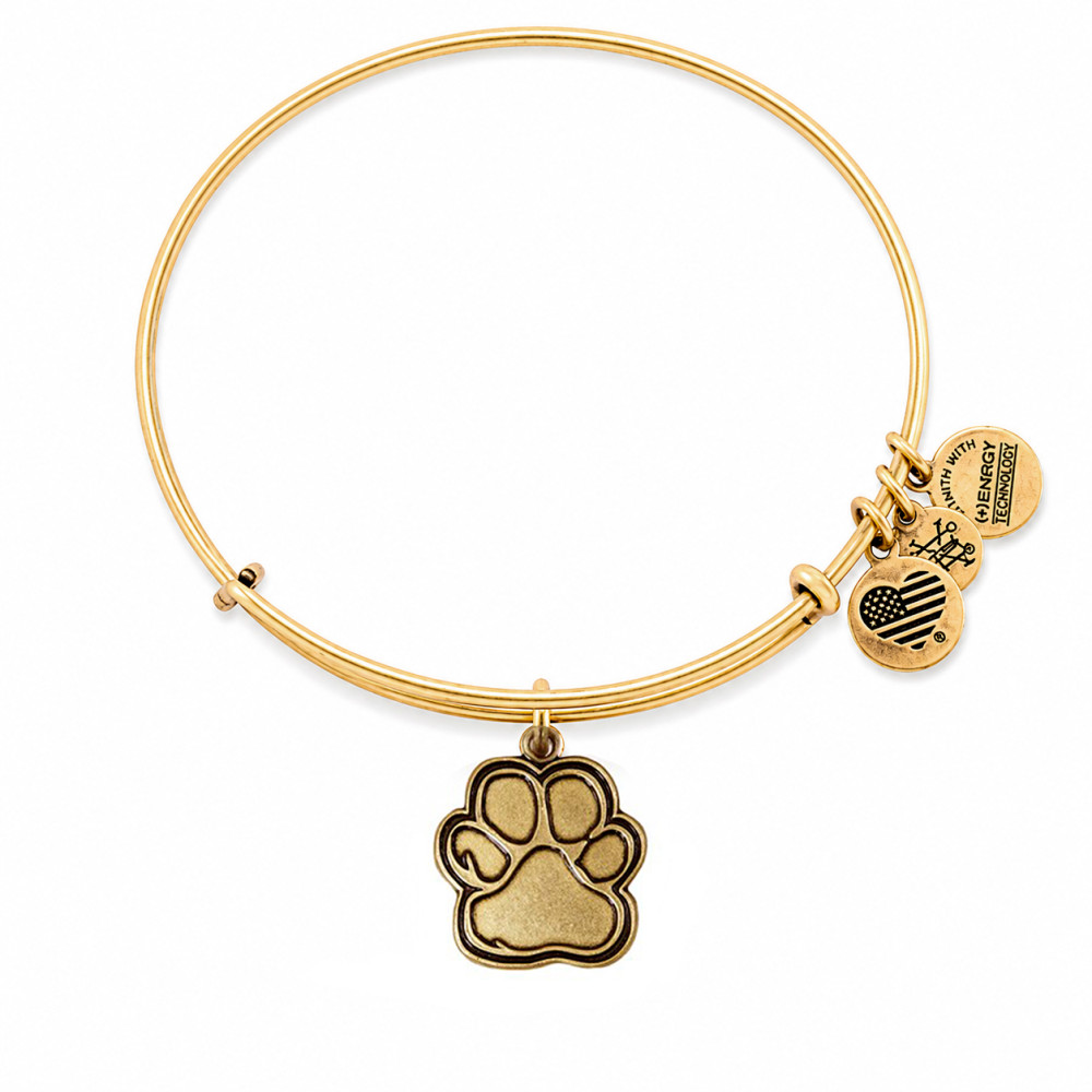 Produktbild för ALEX AND ANI CBD14POLRG - Bracelet Dam (20CM)