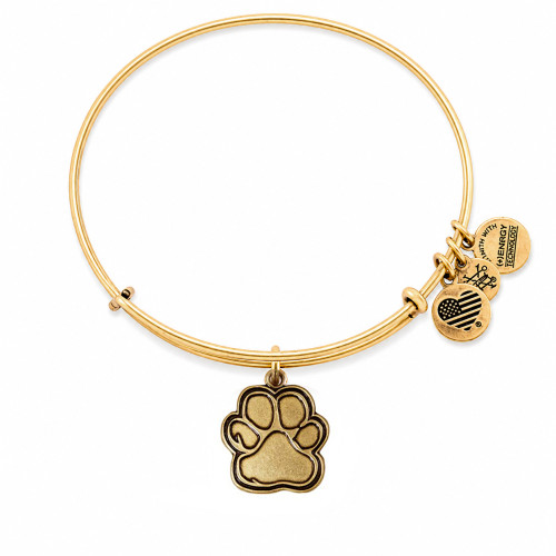 Alex and ani ALEX AND ANI CBD14POLRG - Bracelet Dam (20CM)