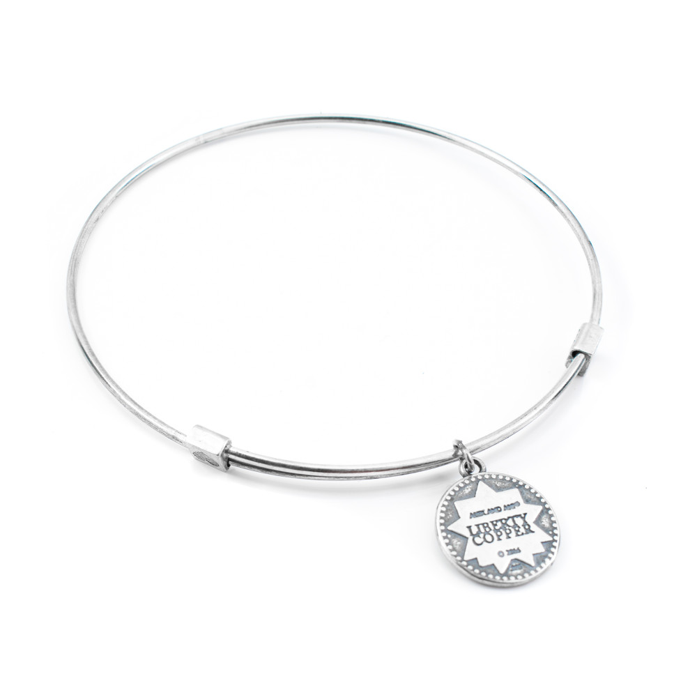 Produktbild för ALEX AND ANI LC16EB02S - Bracelet Dam (20CM)