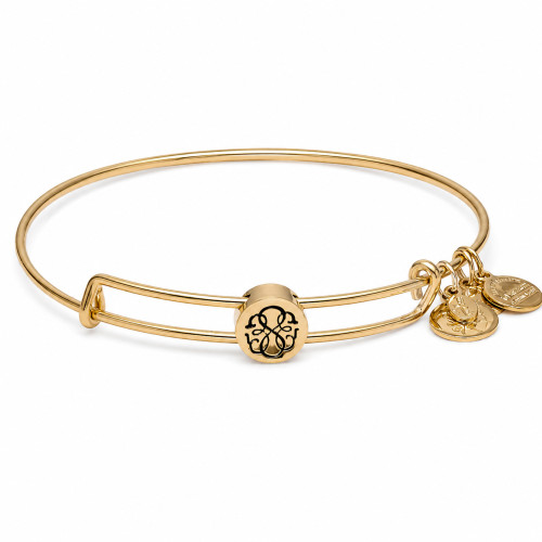 Alex and ani ALEX AND ANI SSEWB04G - Bracelet Dam (20CM)