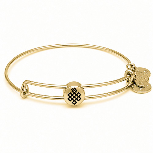 Alex and ani ALEX AND ANI SSEWB06G - Bracelet Dam (20CM)