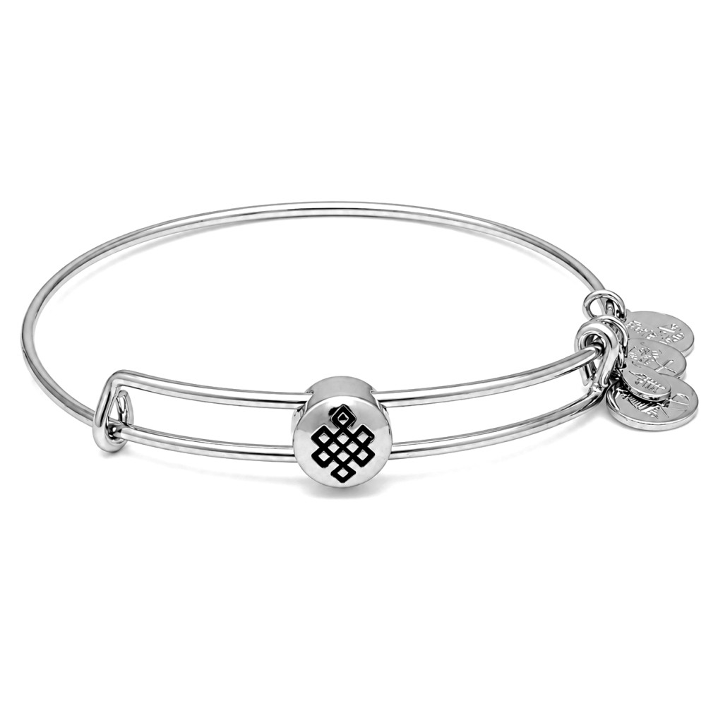 Produktbild för ALEX AND ANI SSEWB06S - Bracelet Dam (20CM)
