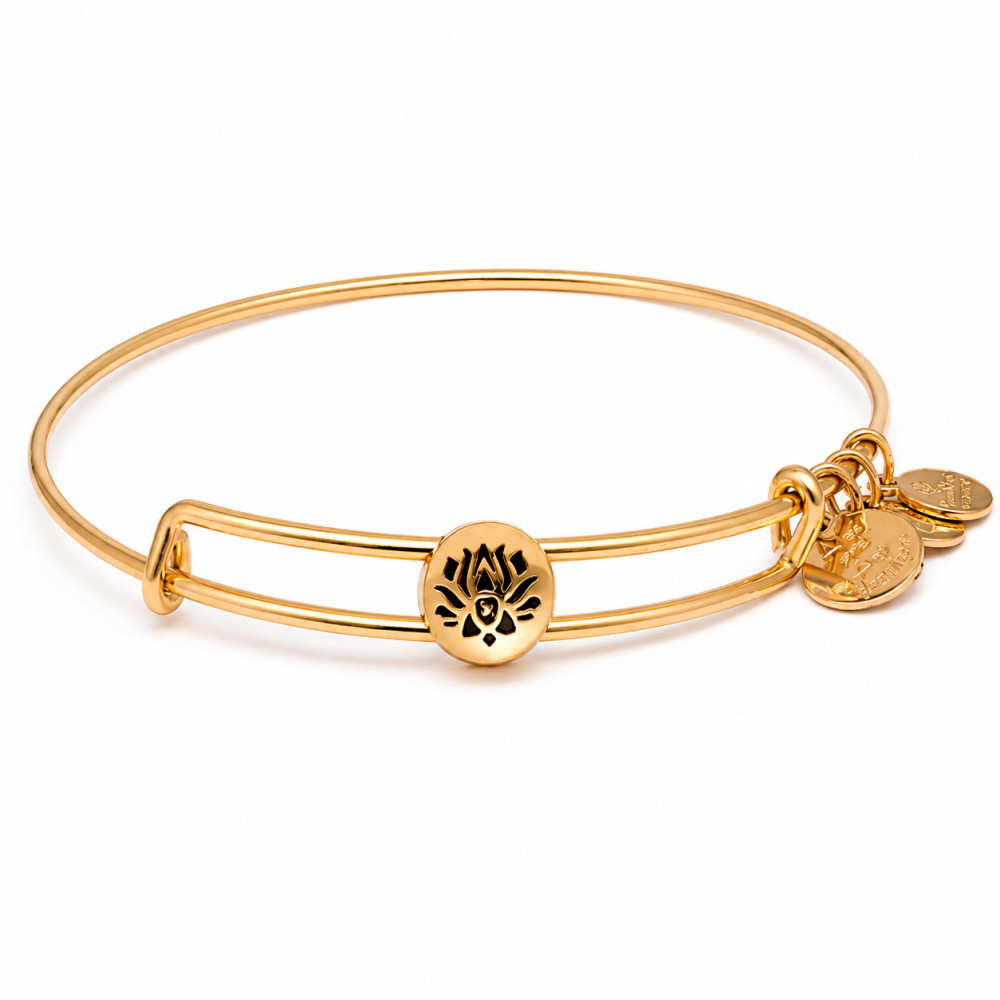 Produktbild för ALEX AND ANI SSEWB10G - Bracelet Dam (20CM)