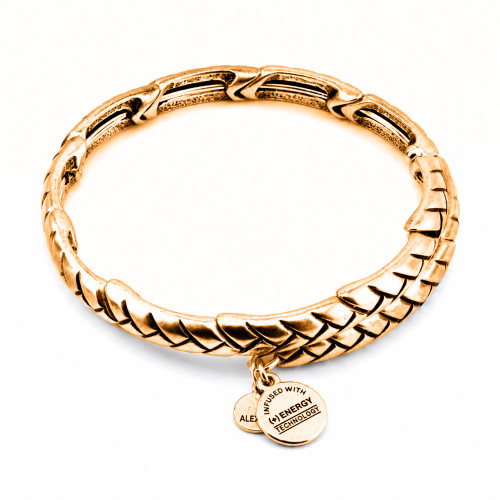 Alex and ani ALEX AND ANI V16W03RG - Bracelet Dam (20CM)