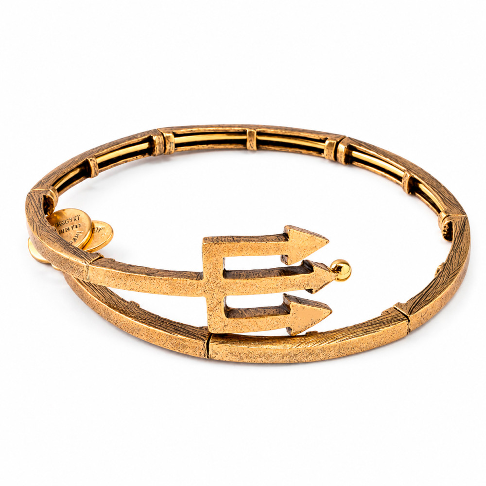 Produktbild för ALEX AND ANI V16W30RG - Bracelet Dam (20CM)
