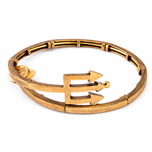 Alex and ani ALEX AND ANI V16W30RG - Bracelet Dam (20CM)