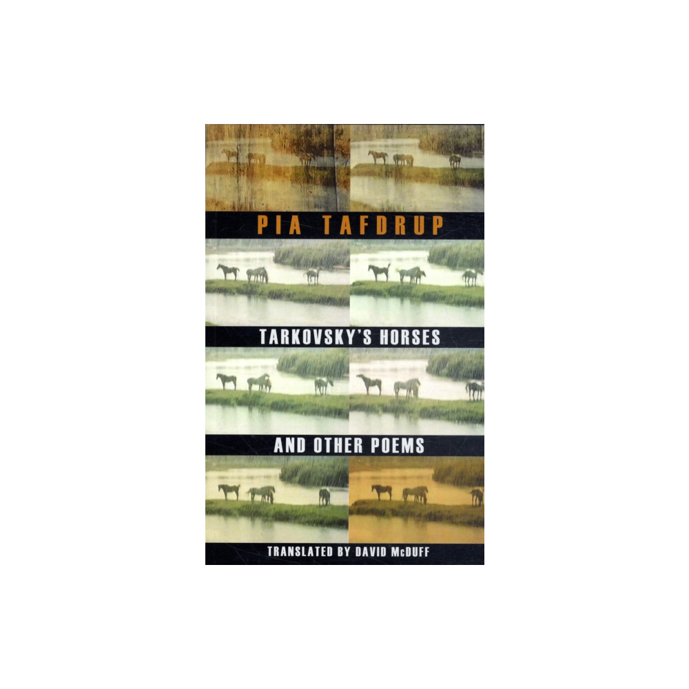 Produktbild för Tarkovsky's Horses and other poems (häftad, eng)