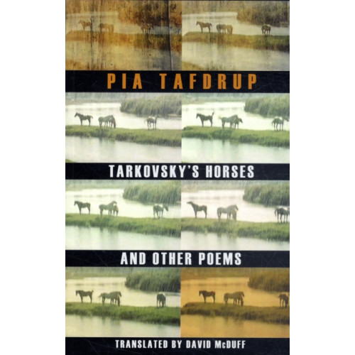 Bloodaxe Books Ltd Tarkovsky's Horses and other poems (häftad, eng)