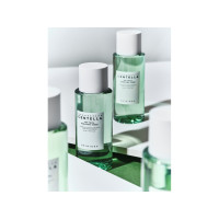 Produktbild för SKIN1004 Madagascar Centella Tea-Trica Purifying Toner 210 m...