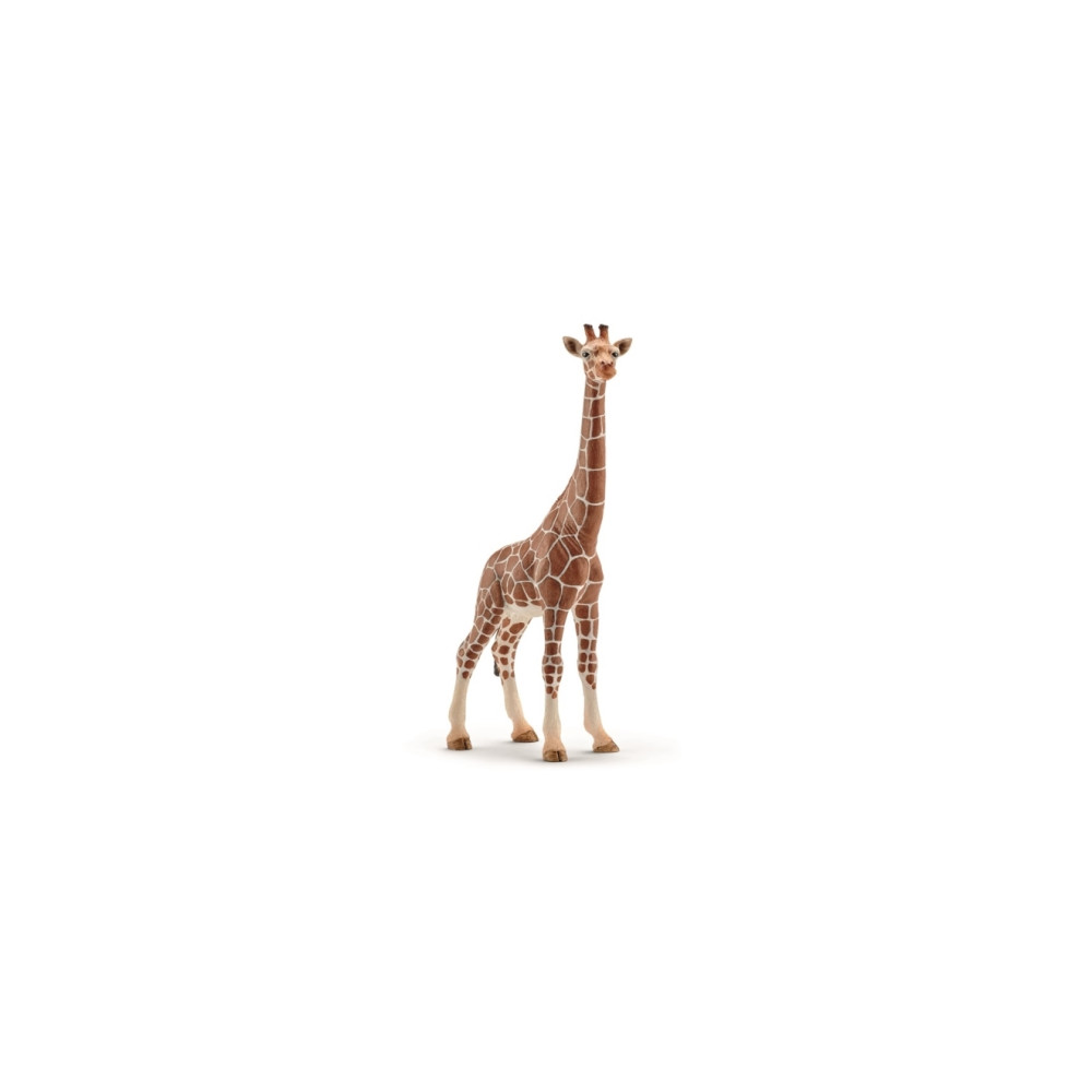 Produktbild för Schleich Wild Life - Giraff, hona