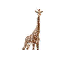 Produktbild för Schleich Wild Life - Giraff, hona