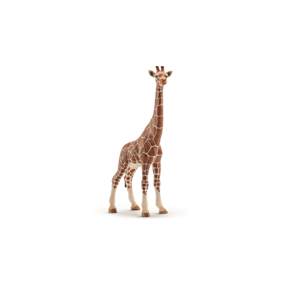 Produktbild för Schleich Wild Life - Giraff, hona