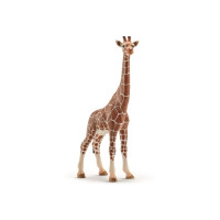 Produktbild för Schleich Wild Life - Giraff, hona