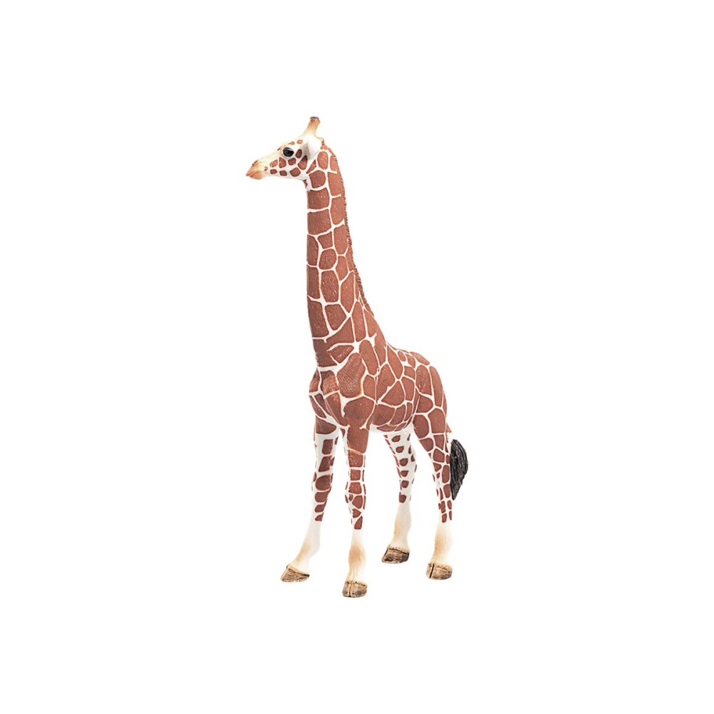 Produktbild för Schleich Wild Life - Giraff, hona