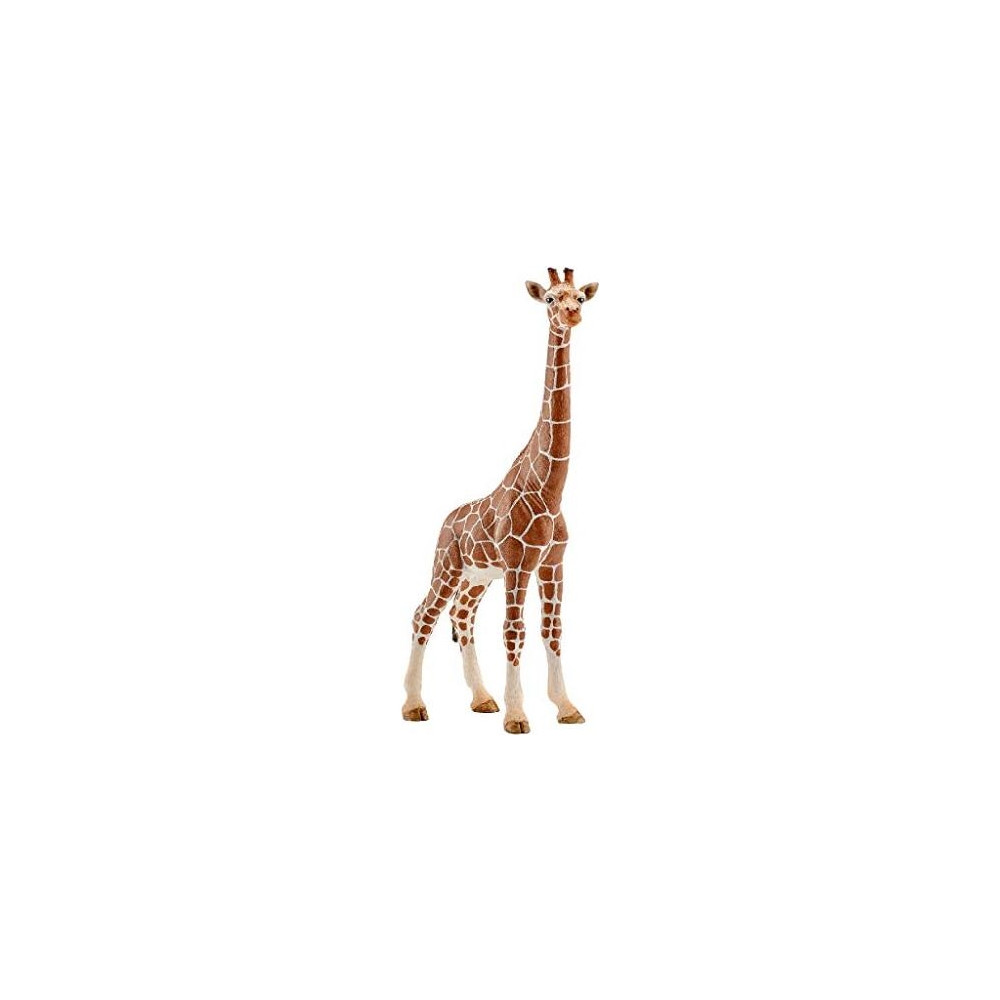 Produktbild för Schleich Wild Life - Giraff, hona