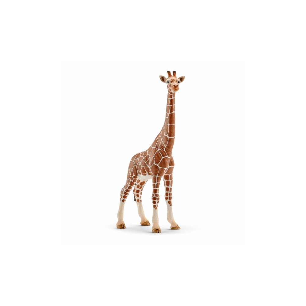 Produktbild för Schleich Wild Life - Giraff, hona