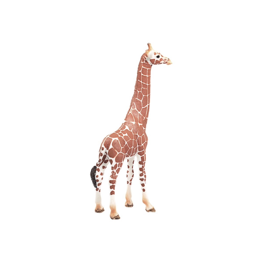Produktbild för Schleich Wild Life - Giraff, hona