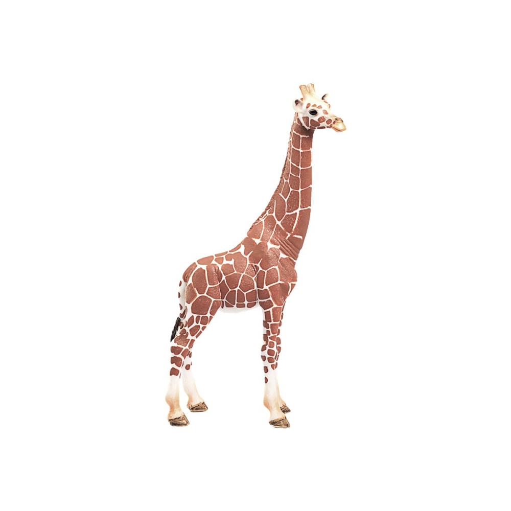 Produktbild för Schleich Wild Life - Giraff, hona