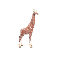 Produktbild för Schleich Wild Life - Giraff, hona