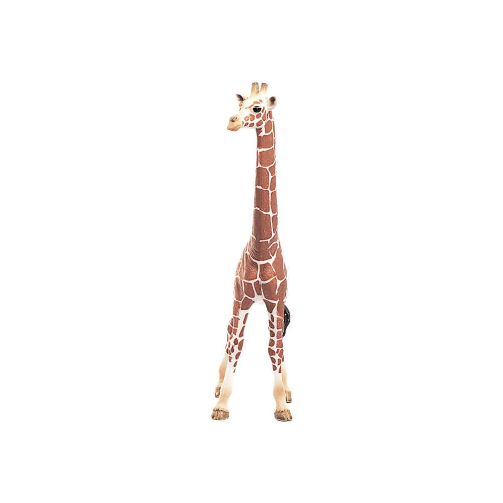 Produktbild för Schleich Wild Life - Giraff, hona