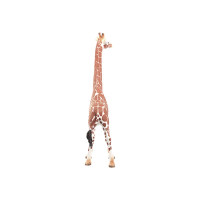Produktbild för Schleich Wild Life - Giraff, hona