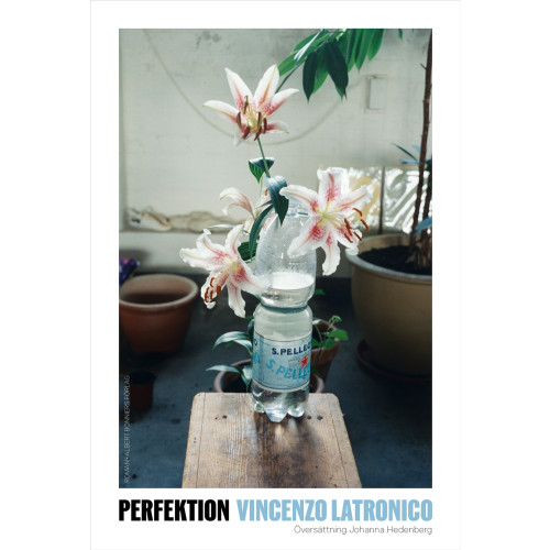Vincenzo Latronico Perfektion (inbunden)