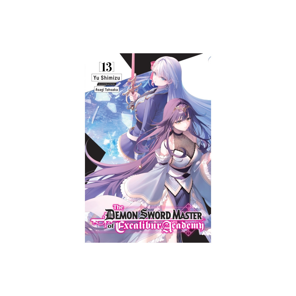 Produktbild för The Demon Sword Master of Excalibur Academy, Vol. 13 (light novel) (häftad, eng)