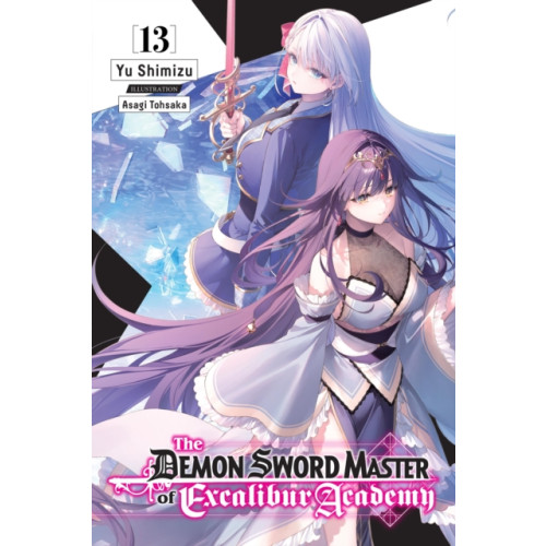 Little, Brown & Company The Demon Sword Master of Excalibur Academy, Vol. 13 (light novel) (häftad, eng)
